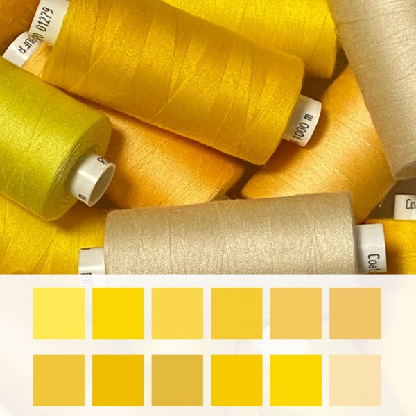 Nähfaden Coats epic 1.000/120 #02